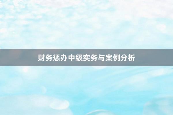 财务惩办中级实务与案例分析